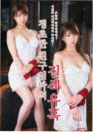雾港回声的竖版封面